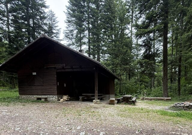 Forest Cabin - Béroie