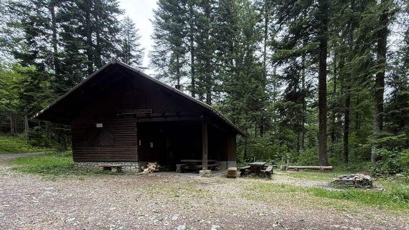 Forest Cabin - Béroie